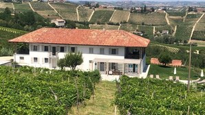 A two-story house with a red-tiled roof, surrounded by vineyards and a hilly landscape. - Cascina Canelli - Apt. Alba, Cascina Canelli - Apt. Alba (Canelli)