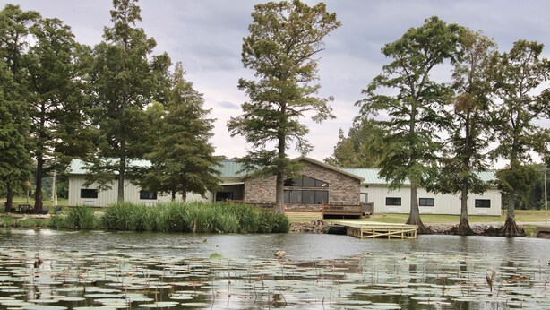 Una cabaña junto al lago con un muelle, rodeada de altos árboles y un lago tranquilo con nenúfares.