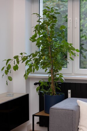 Detalhe da parte interna