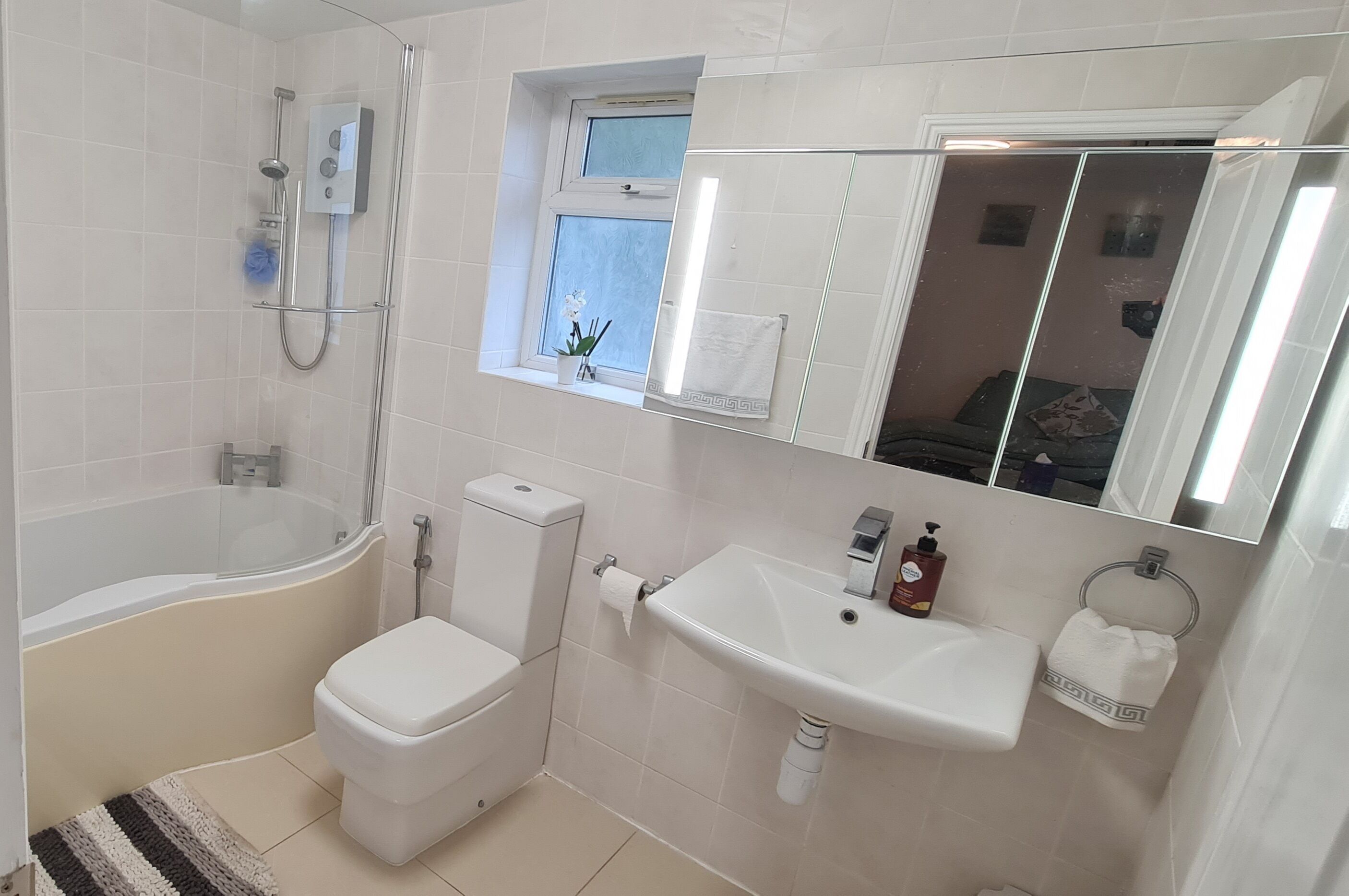 Hair dryer, towels, soap, shampoo
