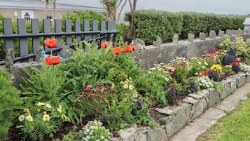 Detalle del exterior