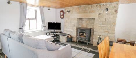 تلفزيون، كُتُب