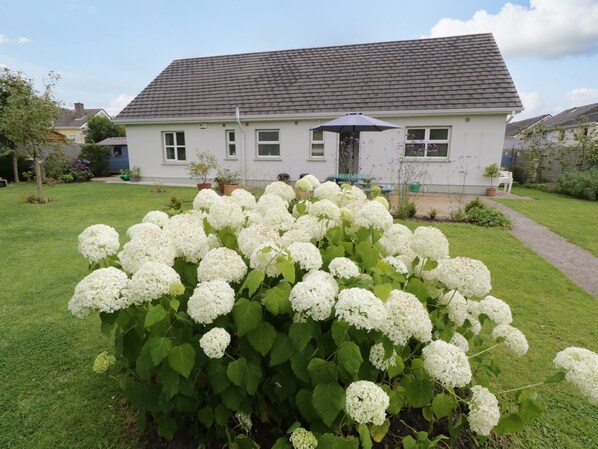 Property grounds - 2 CASTLE COVE, pet friendly in Dromahair, County Leitrim (Dromahair)