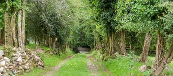 THE OLD WHITE COTTAGE, pet friendly in Shillelagh, County Wicklow