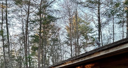 Beautiful & peaceful cabin w deck, garden, firepit & walking trails.