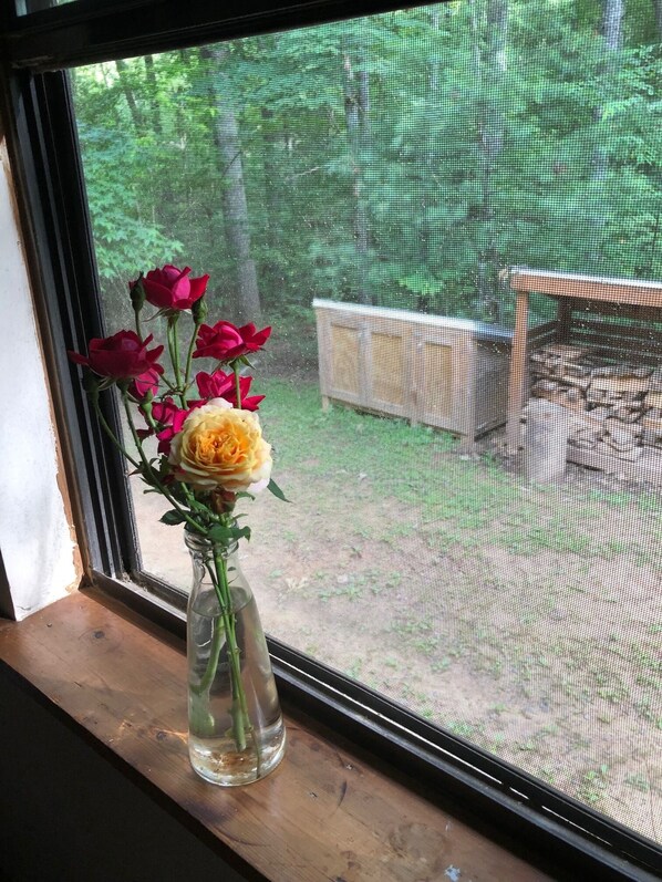 A window with a vase containing flowers. - Beautiful & peaceful cabin w deck, garden, firepit & walking trails. (Murphy)