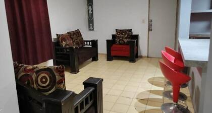 Depto Cerca de Imss y Hospital General