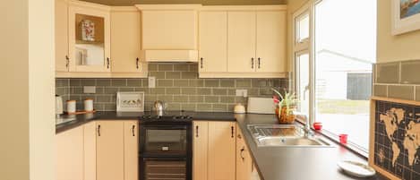 Oven, dishwasher, cookware/dishes/utensils