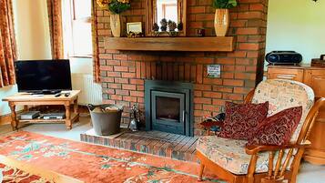 テレビ、DVD プレーヤー