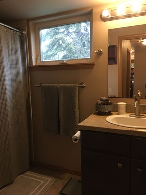 Hair dryer, towels, soap, toilet paper