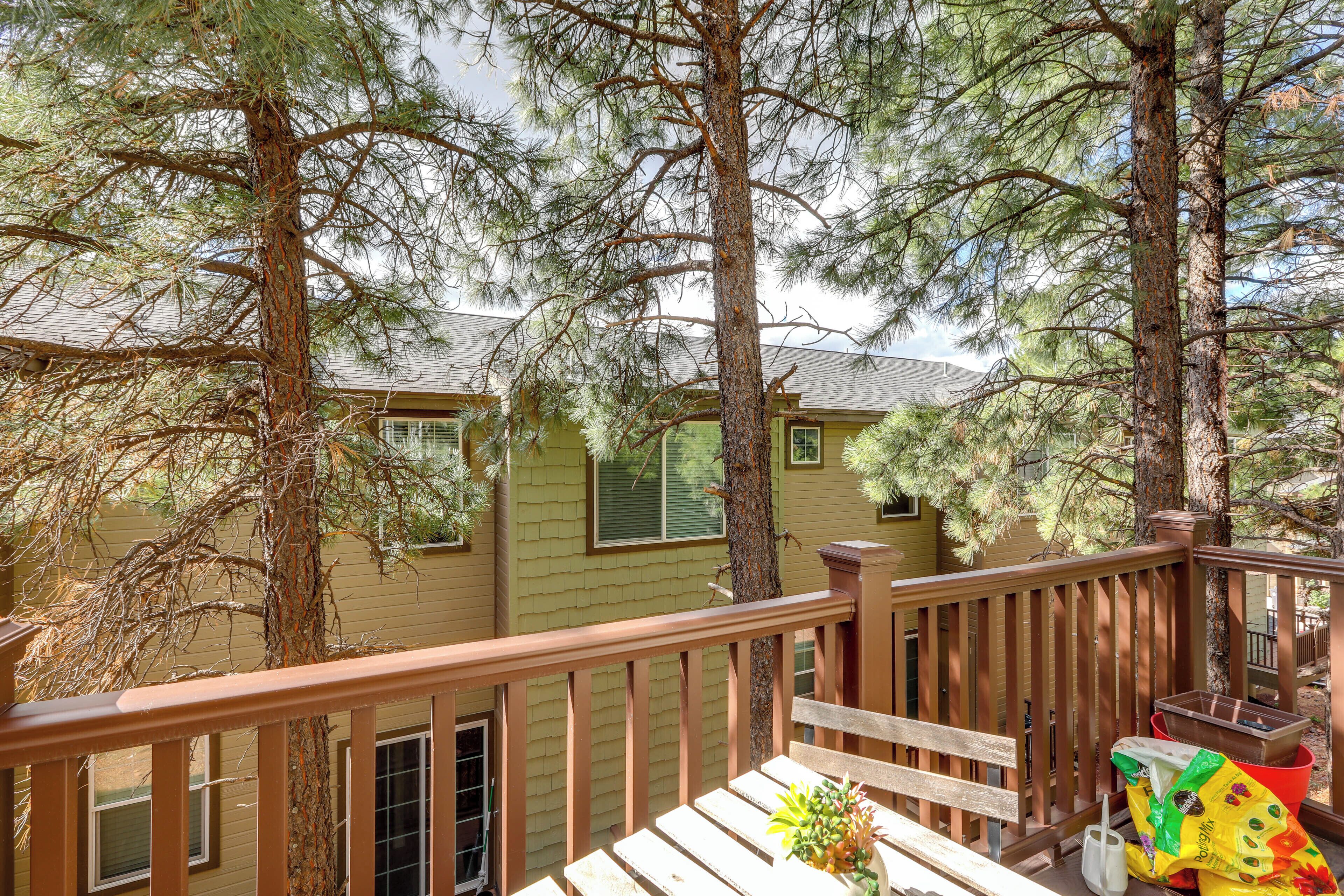 A wooden deck with a railing, surrounded by tall pine trees, overlooking a house with a green exterior and a window with shutters.