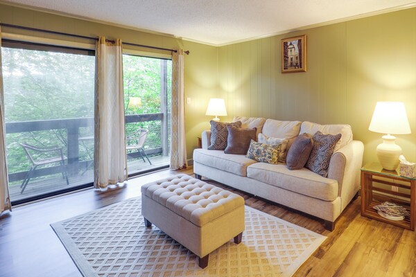 Walk To Slopes! Beech Mountain Condo, Pet Friendly - Beech Mountain, NC