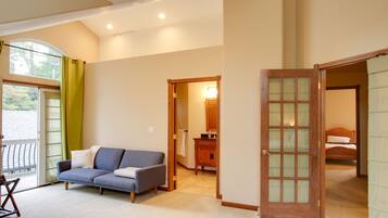 TV, fireplace, books