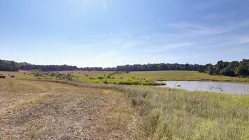 Un paisaje rural con un río, campos y árboles distantes.
