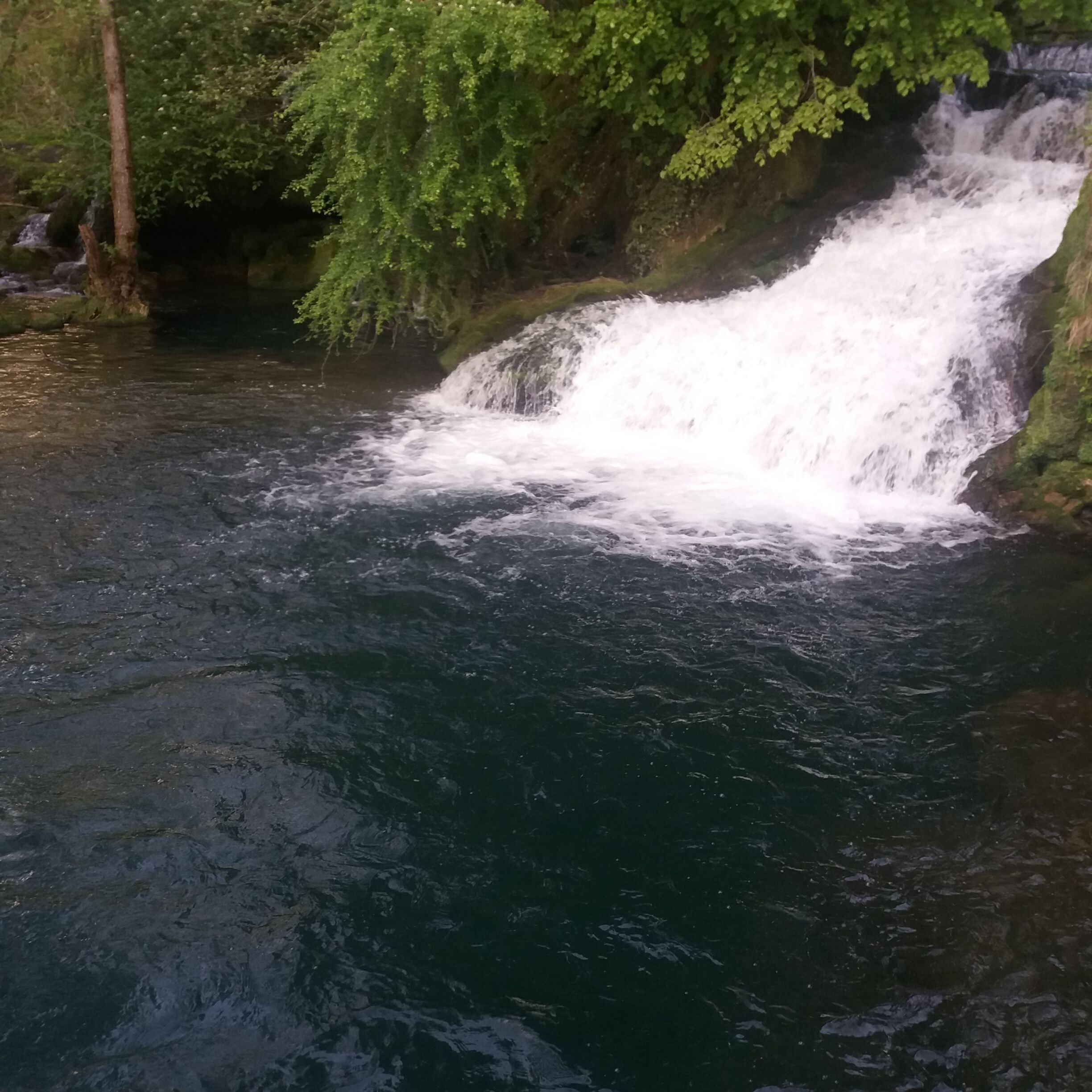 Ein Wasserfall in bewaldeter Landschaft mit klarem Wasser und üppiger Vegetation.