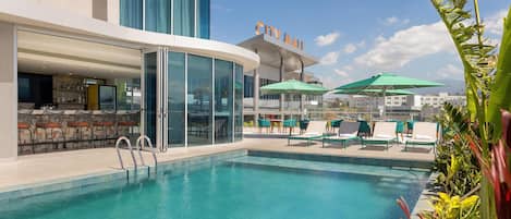 Outdoor pool, pool umbrellas, pool loungers