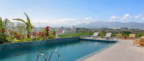 A rooftop pool with clear blue water, surrounded by lounge chairs and potted plants.