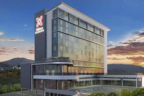 Hilton Garden Inn San Jose Airport City Mall