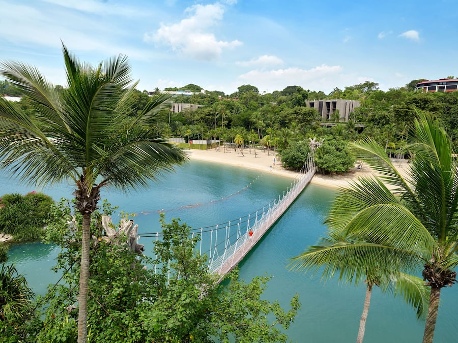 A beach with a suspension bridge, palm trees, and a clear blue sky.