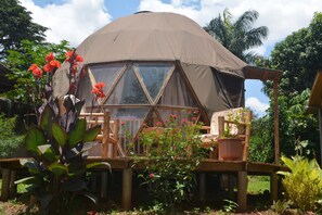 Tenda Comfort | Teras/patio