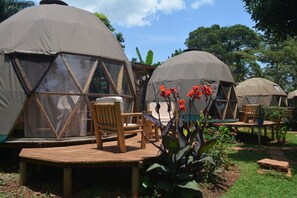 A series of dome-shaped tents with wooden furniture and a garden area.