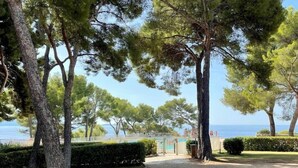 A pathway leading to a gated entrance with a view of the sea.