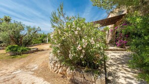 Un sentier de pierres rustiques mène à un bâtiment traditionnel, auquel on accède par un pont en bois.
