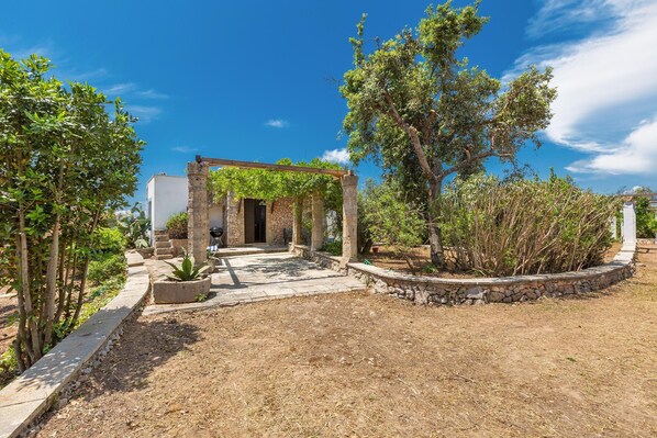 A courtyard with a stone archway, a pathway, and a variety of plants.