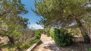 A pathway flanked by trees and shrubs, leading to a building with a stone facade. - 3504 PJE - Casa Fico D'india by Barbarhouse (Castrignano del Capo)