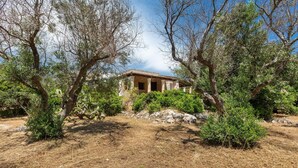 A rustic stone building surrounded by dry grass and trees. - 3504 PJE - Casa Fico D'india by Barbarhouse (Castrignano del Capo)