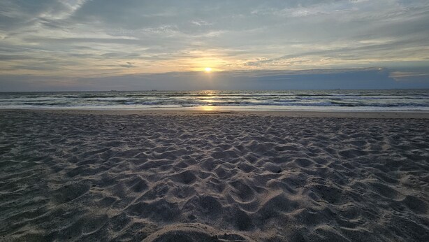 Oklassificerad bild, 1 av 16, knapp