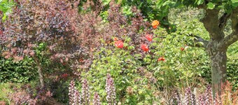 Mountfield Farm Cottage