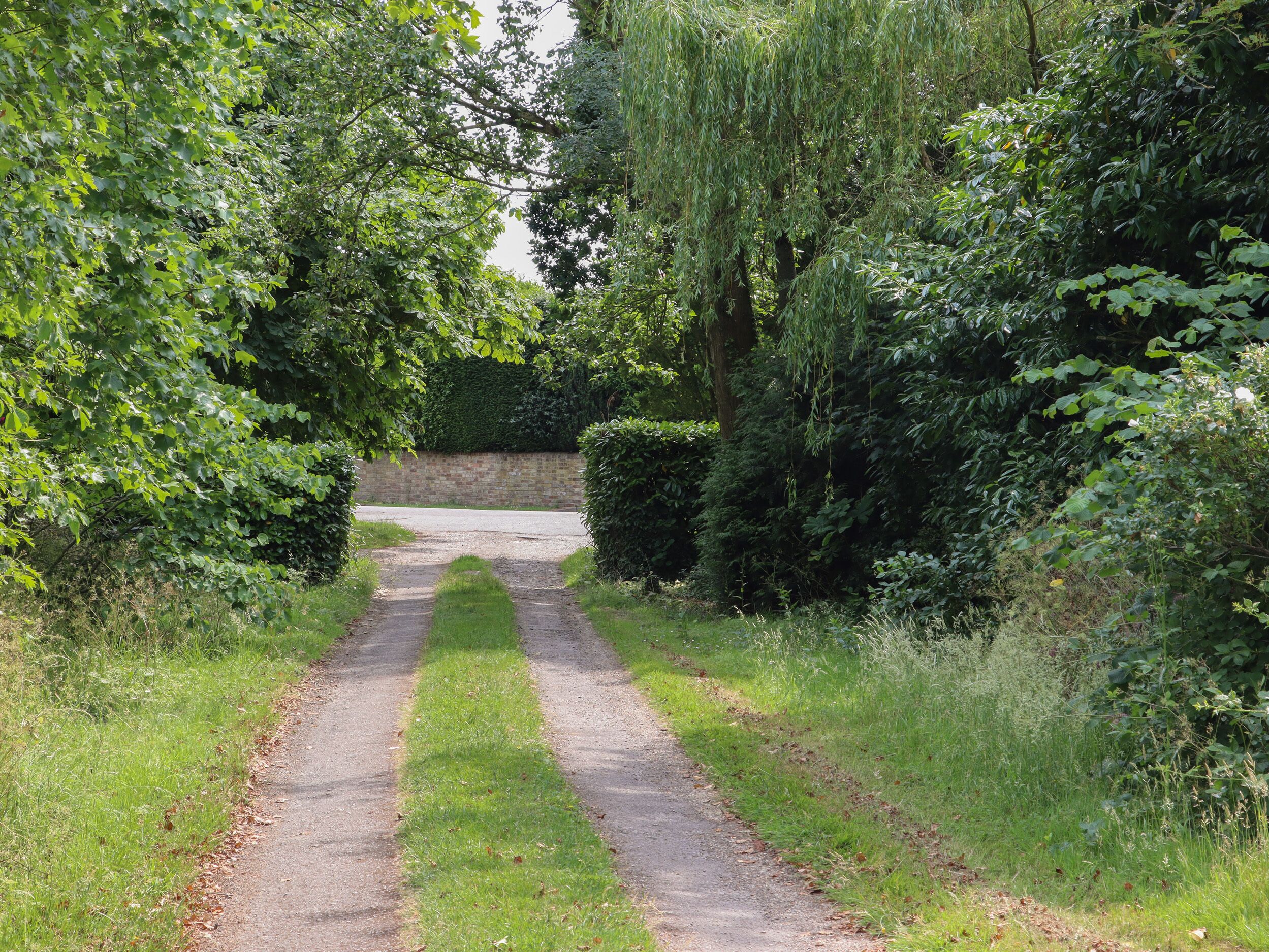 A rural road flanked by dense greenery and a brick wall in the background.