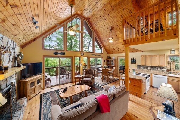 Smart TV, fireplace, books