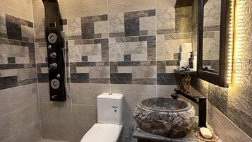 Shower, towels, soap, toilet paper