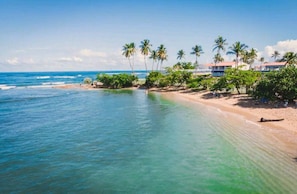 A beach with clear turquoise waters, palm trees, and a building with a red roof in the background. - 6 guests, 4 min Walk to Private Beach, casino, bowling alley and much more ! 
 (Dorado)