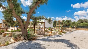 A courtyard with olive trees, stone structures, and a clear blue sky.