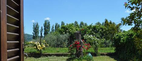 A garden with a brick pathway, a wooden gate, and various plants and flowers.