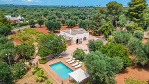 A villa with a swimming pool, surrounded by lush greenery and trees. - 3584 Trullo Kalia by Barbarhouse (San Michele Salentino)