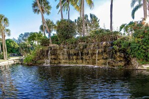 A waterfall cascading over a rocky ledge into a calm pond, surrounded by lush greenery and palm trees.