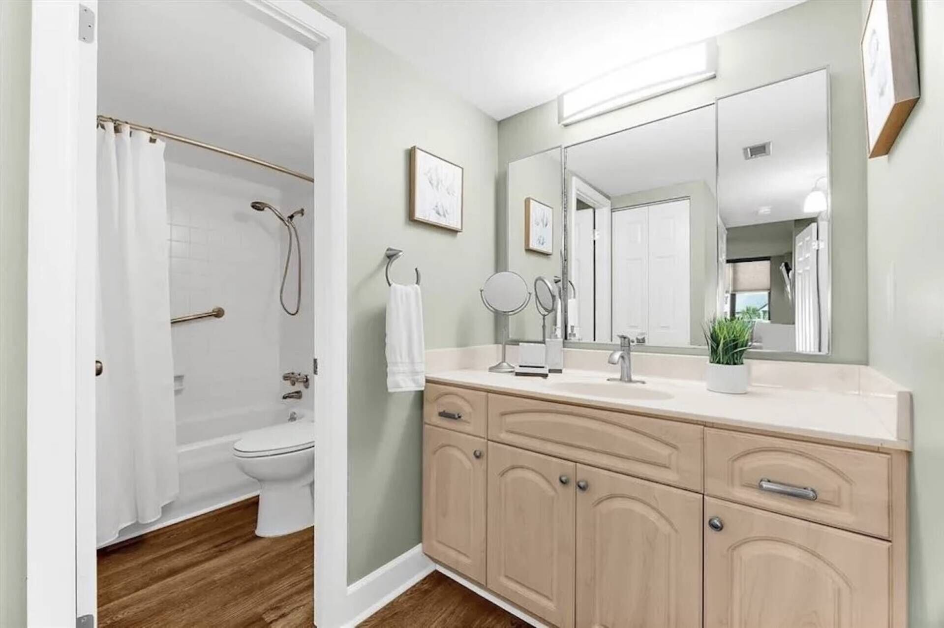 Une salle de bain avec douche, toilettes, un meuble-lavabo avec miroir et une plante en pot.