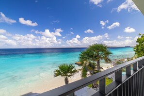 Une vue dégagée sur une plage aux eaux turquoise, bordée de palmiers et dotée d’une balustrade.