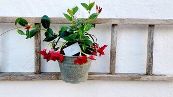 Une plante en pot, ornée de fleurs rouges, est suspendue à une rambarde en bois rustique.