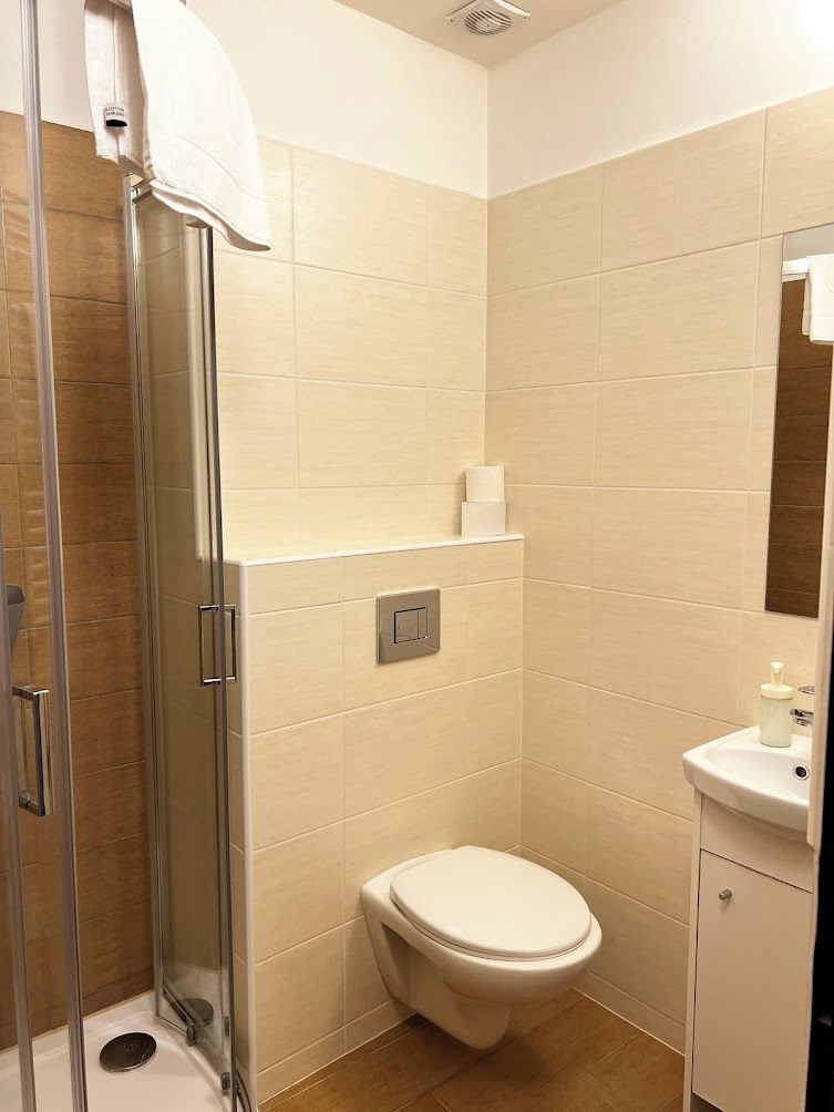 A bathroom with a glass shower enclosure, a toilet, a sink, and a mirror.