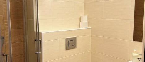 A bathroom with a glass shower enclosure, a toilet, a sink, and a mirror.