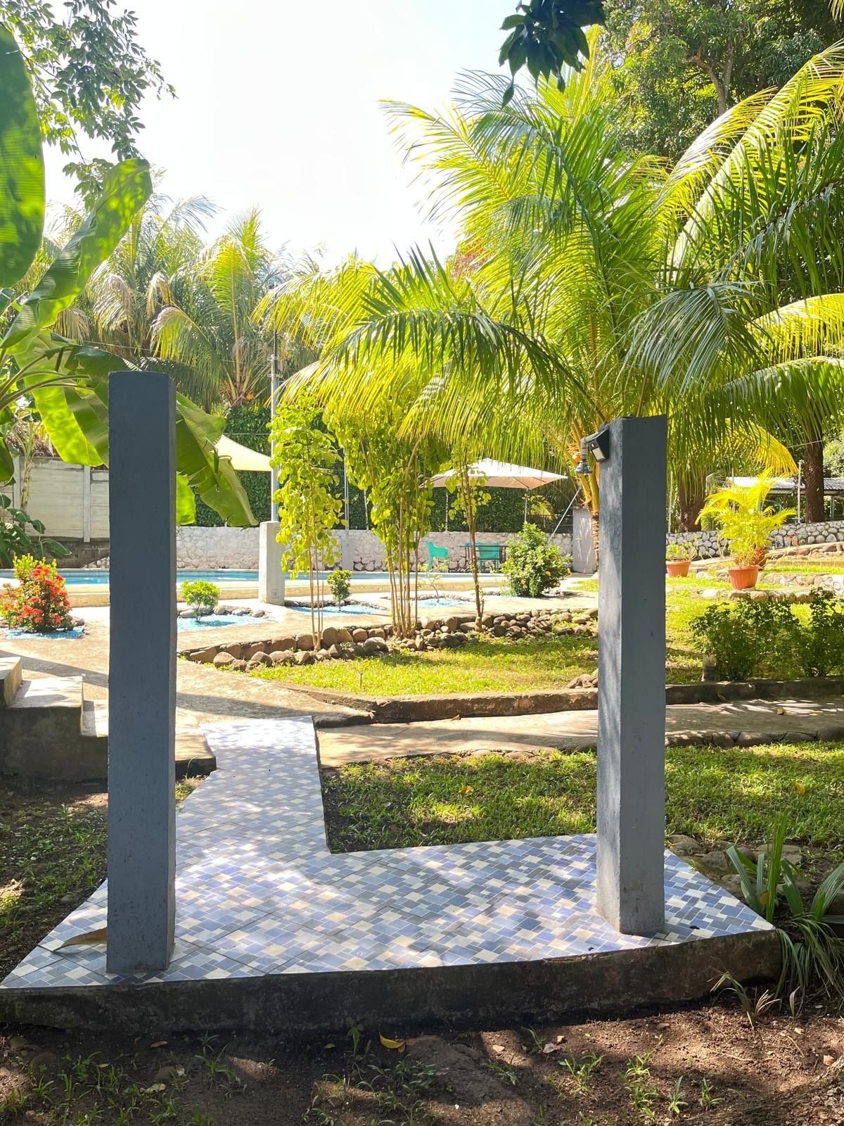 Un jardín con un camino empedrado, palmeras y una zona de piscina.