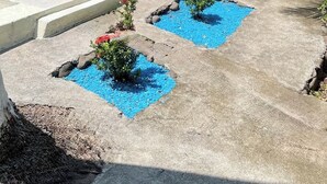 Ein Schwimmbad mit Betonumrandung, umgeben von kleinen Pflanzen und einer Steinmauer.