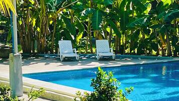 A swimming pool with two white lounge chairs, surrounded by lush greenery and tropical plants.