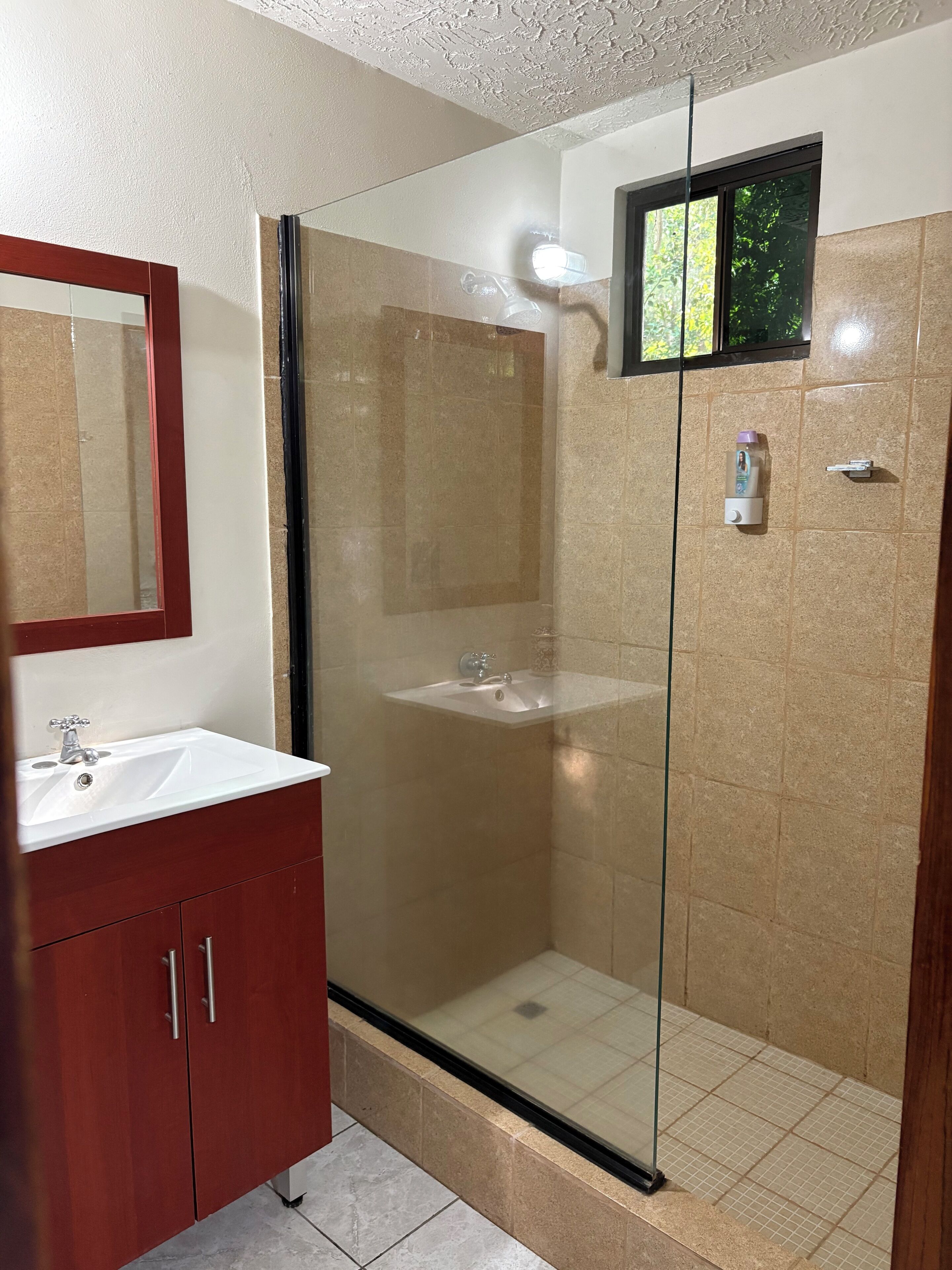 A bathroom with a glass-enclosed shower, a sink, and a mirror.