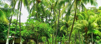 Tropical Private beach house 3 mins from the beach .Close to restaurants ,stores